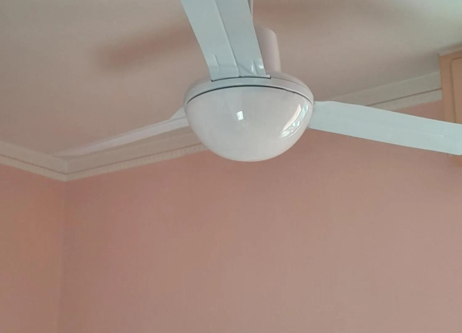 Πανσιόν Room Rental Pisa - Parking E Wifi Gratuiti